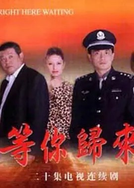 等你归来(全集)